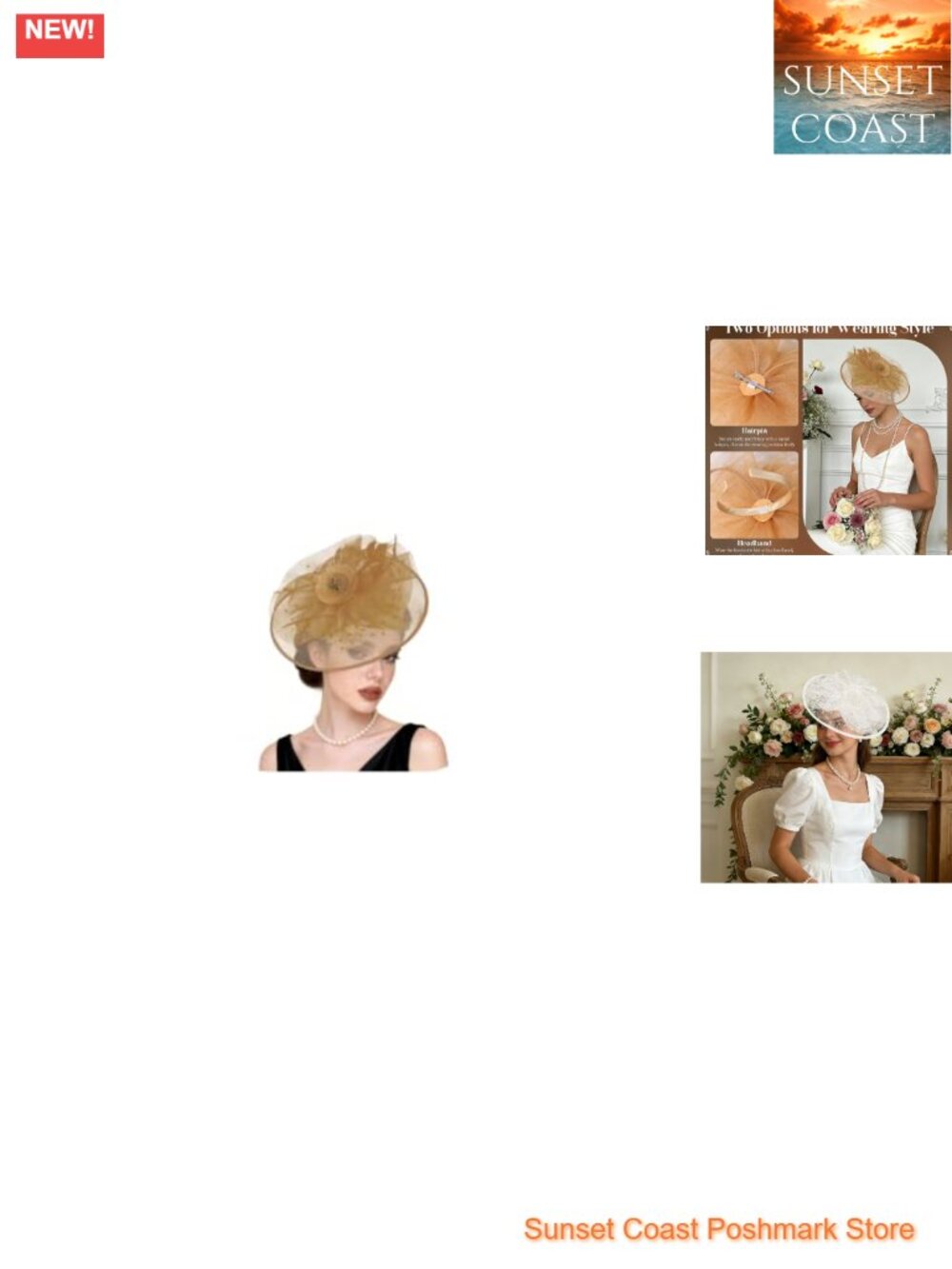 Vintage Feather Mesh Fascinator Hat with Headband & Hair Clip for Wedding Tea
